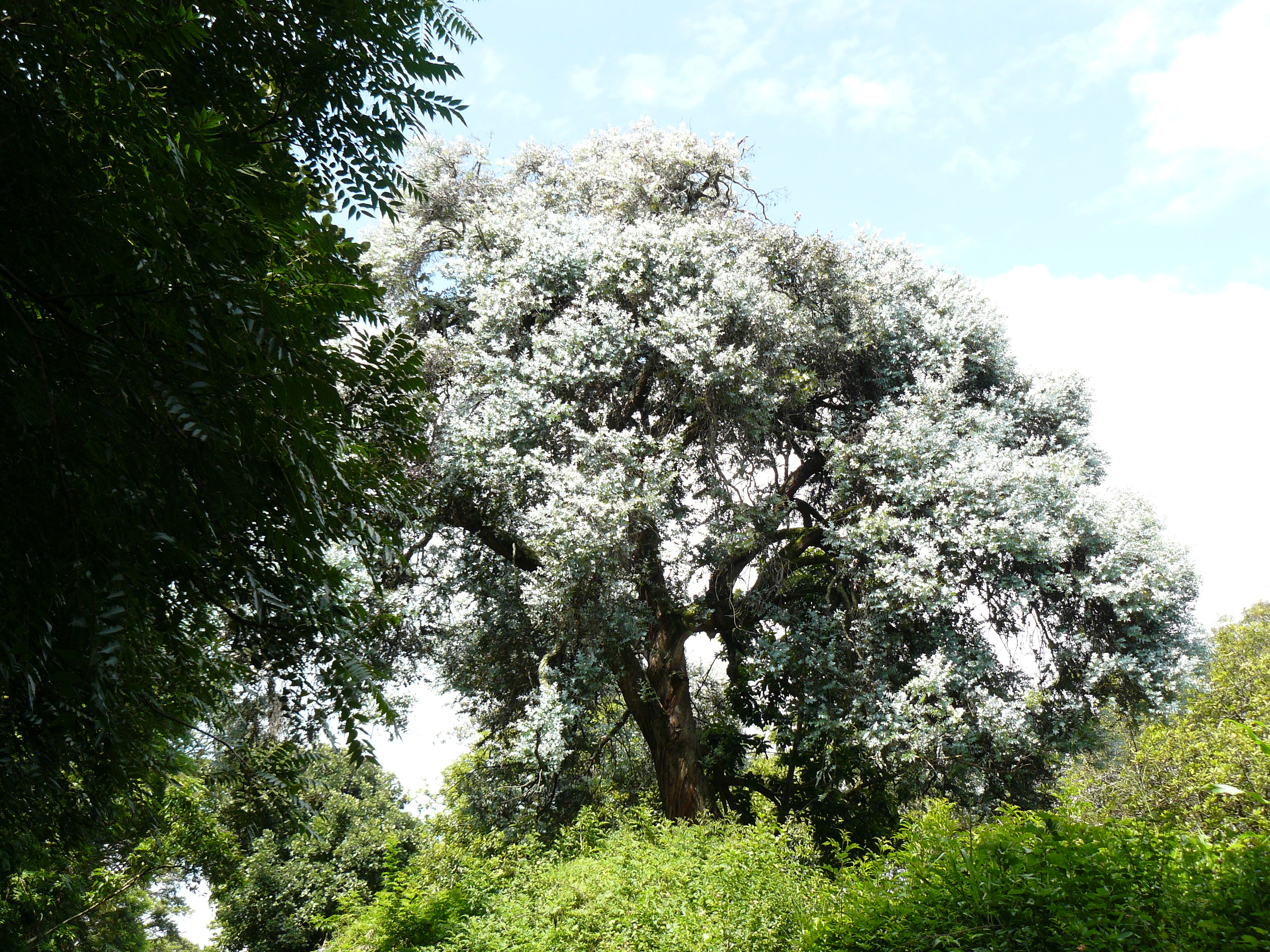 P1100396